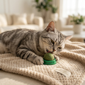 Catnip