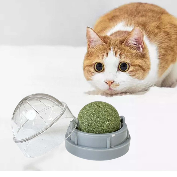 Catnip